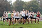 Junior men, National Cross Country Relays, Berry Park, Mansfield. Photo: David T. Hewitson/Sports for All Pics
